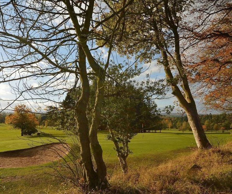 Ballochmyle Estate, Mauchline Milestone Developments